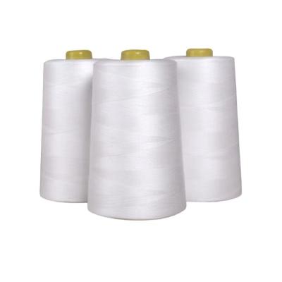 China High Tenacity Cheap Price Polyester Sewing Thread 3000y 402 Sewing Thread White Color Various for sale