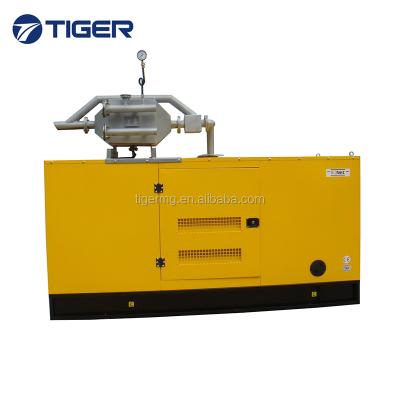 China factory price 100kva with CHP system hot sale 80kw biogas generator TG80GFT for sale