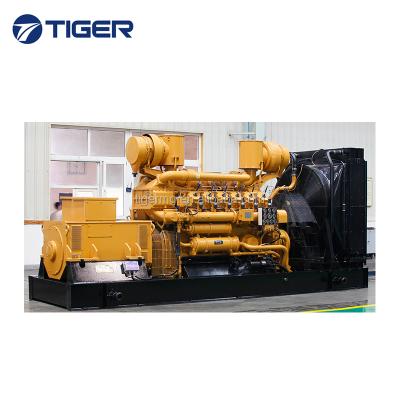 China CE Approved Factory Supply Price 10kw 20kw 50kw 80kw 100kw 200kw 500kw Biogas Generator TG500GFT for sale