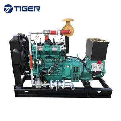 China 30kw 40kw 50kw 60kw biogas generator for sale with biogas purification system TG30GF-T for sale