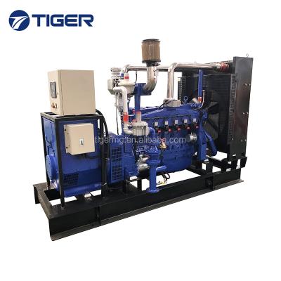 China CE Approved 100kw 200kw 500kw Factory Supply Price Biomass Gas Generator TG100GF for sale