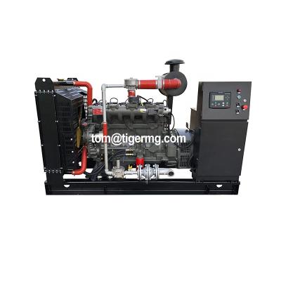 China China Famous Brand Sinotruck YTO Weichai Biomass Generator 150kw TG150GF for sale