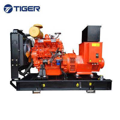 China Hot Sale 50KVA 63kva Weifang Ricardo Engine Diesel Generator Turkey TG40GF for sale