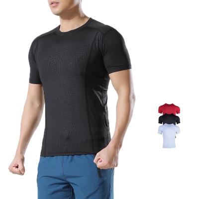 China Wholesale Fitness Clothing Anti-Wrinkle Mens Gym Wear Custom Logo Fitness T-shirt Men for sale