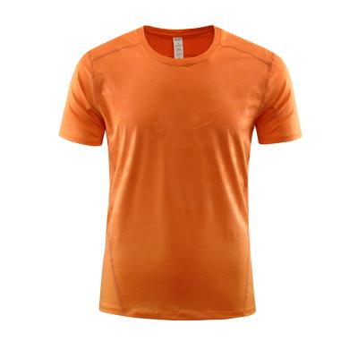 China Excellent Quality QUICK DRY Workout Mens Gym T Shirts, Sporty Man Yoga Wear Weightlifting Fitness T Shirts for sale