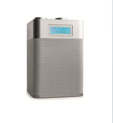 China 2000Mah AUX audio DAB. PORTABLE /DAB input portable RDS + digital radio with FM MP4 for sale