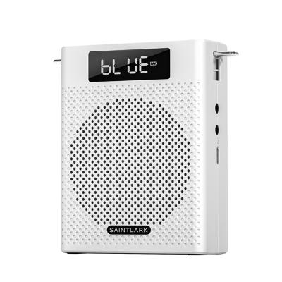 China Hot Selling Portable Digital Display Screen With Bluetooth Recording Original FM Voice Audio Speaker Sound Amplifier S2 for sale