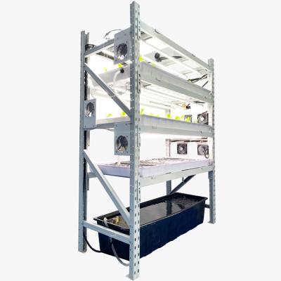 China Agriculture Planting China Professional Manufacturer Flood Table Vertical Ebb Flow Rolling Benches Grow Racks for sale