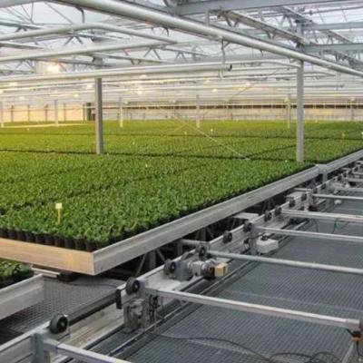 China Wholesale Price New Premium Hydroponic Mesh Flood Table Metal Rolling Benches Hydroponics Greenhouse Ebb And Flow Grow Table Plants for sale