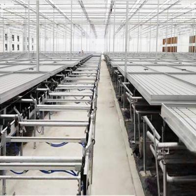 China Mesh High Quality Flood Trays Logistics Rolling Benches For Commercial Greenhouse Hydroponic Backflow Flow Growing Table for sale