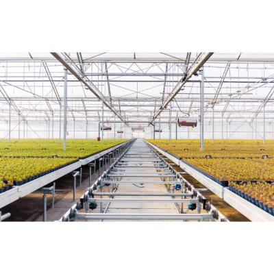 China Mesh Medical Herb Seedling Greenhouse Cheap Plastic Logistics Rolling Bench for sale