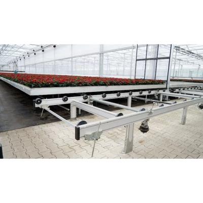 China Mesh The Factory Supplies Plastic Nursery Hydroponic Agriculture Planting Factory Low Tide Platform Mobile Logistics Rolling Bench for sale