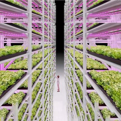 China 2022 Indoor Greenhouse Medicine Plant Growing Hydroponic High Quality Vertical Propagation Multiple Rows Growing Rack For Agricultural Greenhouse for sale