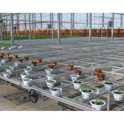 China Greenhouse Medicine Film Greenhouse Flood Table Elevate Support Ebb and Flow Rolling Bench Vertical Elevate Support System for sale