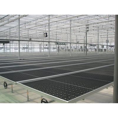 China Greenhouse Medicine Hydroponics Greenhouse Ebb and Flow Rolling Bench Table Nursery in Greenhouse and Warehouse for sale