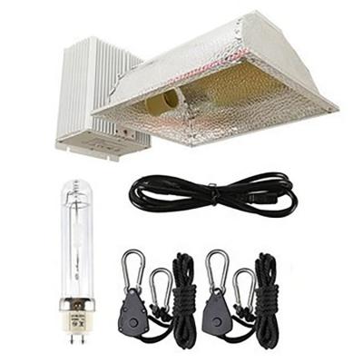 China High Power Greenhouse Lamp 1000 Watt Double HPS Plants Over Hydroponic Grow Light Lamp for sale