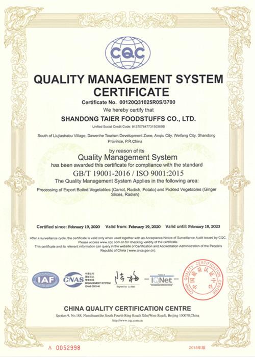 ISO9001 - Shandong Taier Foodstuffs Co., Ltd.