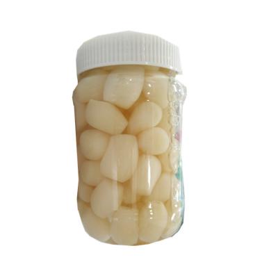 China PRESERVED Chinese Pickled Leeks White Onion Preserved Food Best Taste - Cheap Price for sale