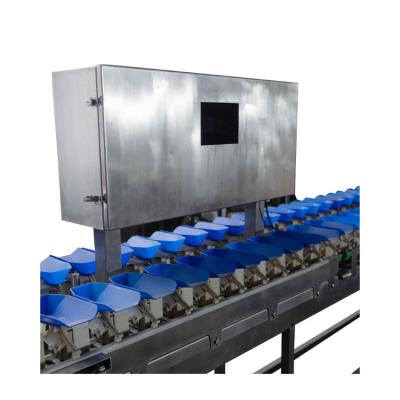 China Good productivity and high quality cheap manual high precision grading blueberry fruit and fish multiple checkweighers for sale