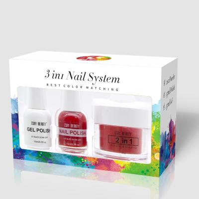 China 2019 New nail artistry dipping powder starter set 3 in 1 gel Polish acrylic powder dip nail for sale