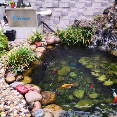 China Viable Custom Design Yard Villa Landscape Pond Freshwater Fish Pond Water Filter Fishing Aquariums Filter for sale