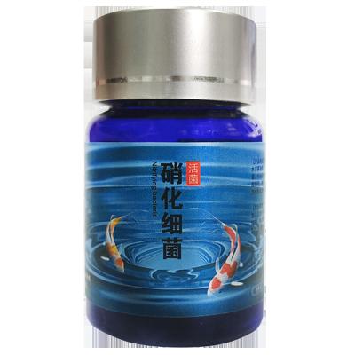 China Viable Aquarium Bacteria Freshwater Nitrifying Shrimp Nitrifying Viable Bacteria for sale