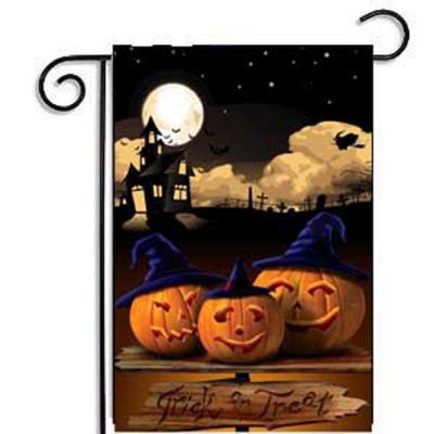 China Home FLYING Eve Of All Saints Day Trick Or Treat Durable Garden Flag for sale