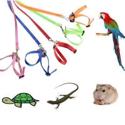 China Small Viable Pet Animals Summer Clothes Pet Hamster Harness Leash Set Guinea Pig Squirrel Rabbit Mouse Hamster Leash Harness for sale