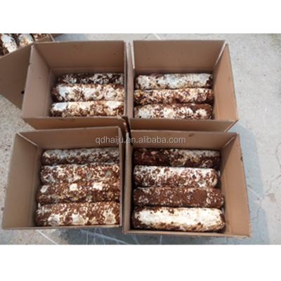 China Fresh Chinese Oak Shiitake Log Wooden Price for sale