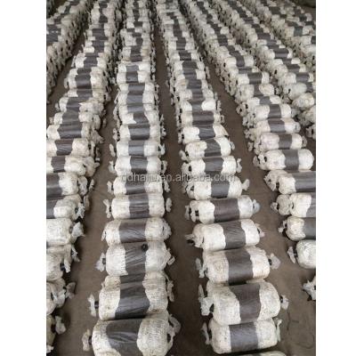 China Fresh spawn of Pleurotus mushroom for sale in the world market for sale