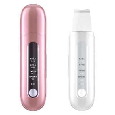 China New Factory Use Mini Anti Aging Facial Care Wrinkle Home Skin Rejuvenation Galvanic Beauty Device CPD-003 for sale