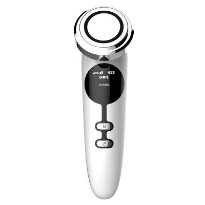 China 2021 New Style Fashion Nourishing and Moisturizing Facial Care Face Massager Beauty Instrument 211*117*68mm for sale