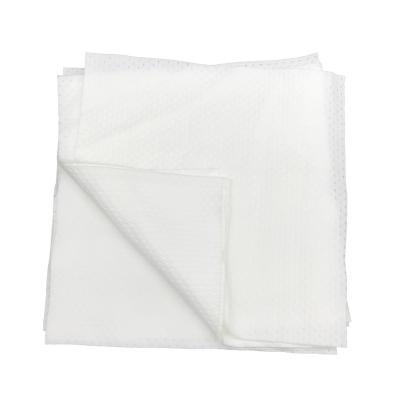 China Pharmaceutical Disposable Wiper High Absorbent 100% Polyester Clean Room Dustproof 100% Polyester 2Ply Clean Room Wiper for sale