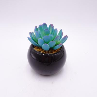 China Factory Direct Sales Durable Artificial Succulents Set Pot Ceramic Succulents in Tray for Home Decor for sale