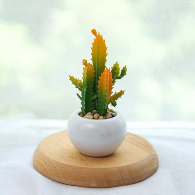 China Durable Artificial Plastic Plant Decoration Mini Bonsai Plants Succulent Plants With Ceramic Pots for sale