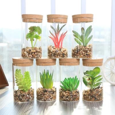 China Simulation Durable Decorative Succulents Artificial Plants With LED Light Random Style for sale