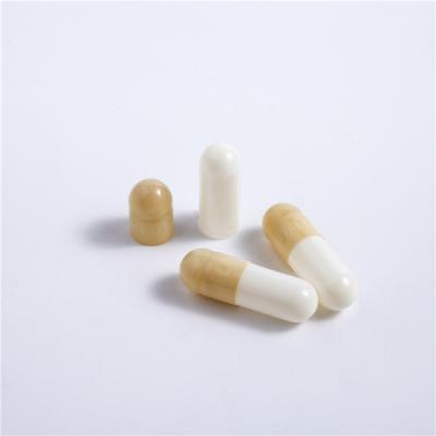 China Eco-friendly material healthy medicina separated xenical tough halal meat capsules empty for wholesale for sale