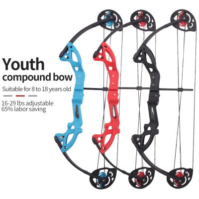 China Durable Kids Youth Archery Toy Arrow Shooting Target Gift 12-29 Pounds Make Up Bow For Beginners for sale