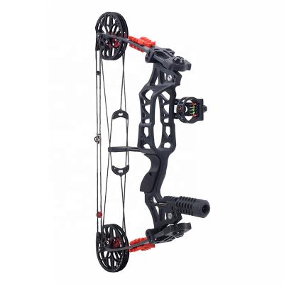 China Durable Outdoor Hunting Shooting Factory Outlet Archery Compound Bow Outdoor Hunting Compound Bow for sale