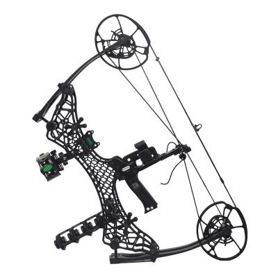 China Higher Quanlity New Arrival Archery Compound Bow Outdoor Hunting Compound Bow for sale