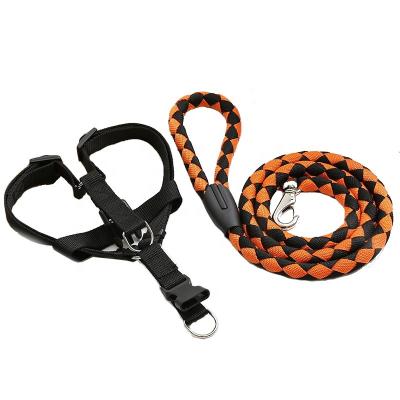 China Wholesale Hot Selling Viable Multicolor Weave Tracking Detachable Leash With Matching Adjustable Leather Harness 2-Piece Set for sale