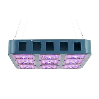 China Seed Starting Hot Sale Classic Full Spectrum Led To Grow Light For Indoor Plant for sale