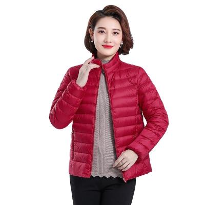 China Windproof Outdoor Anorak Insulated Winter Warm Casual Stripper Hooded Coat Ladies Plus Size Down Jacket Women's Comforter Bubble Coat for sale