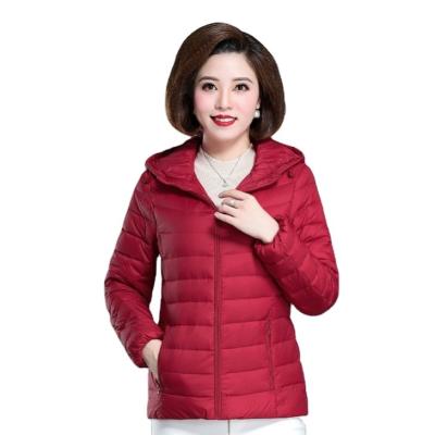 China Korean white duck windproof version light autumn and winter and jacket 2023 thin women's bottom new down hooded jacket for sale