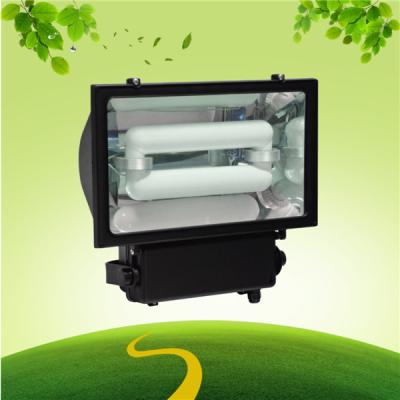 China Billboard IP65 200 Watt Induction Flood light For Building Landscape for sale