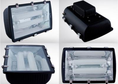 China Water Proof IP65 200w induction lamp , Tunnel Lights With Housing Aluminium for sale