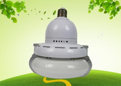 China Induktions-Lampe 40Watt Electrodeless Niederfrequenz für Brücke DC 12V/24V zu verkaufen