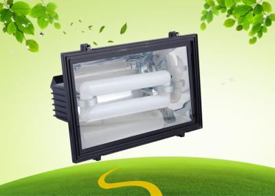 China 250Watt Induction Outside Flood Light Induction Lamp With Tempered Glass for sale