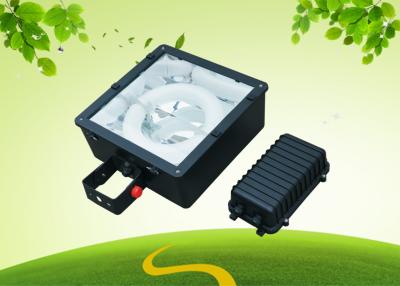 China Billboard Ra90 Magnetic Induction Flood Light 120 W With Aluminum Reflector for sale