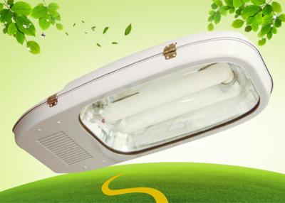 China Industrial Park Low Frequency Induction Street Light 300W IP65 Eco Friendly for sale